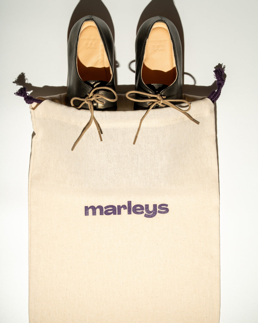 Cat Desert Boot in the marleys dust bag