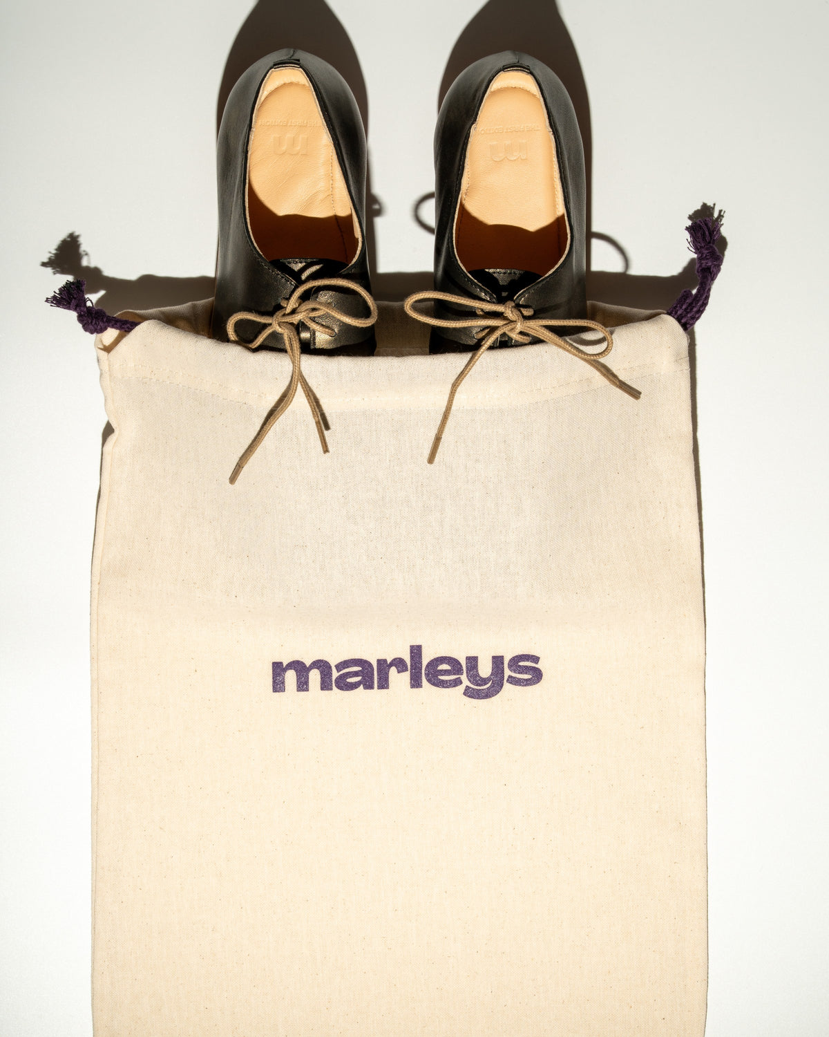 Cat Desert Boot in the marleys dust bag